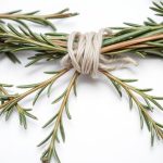rosemary