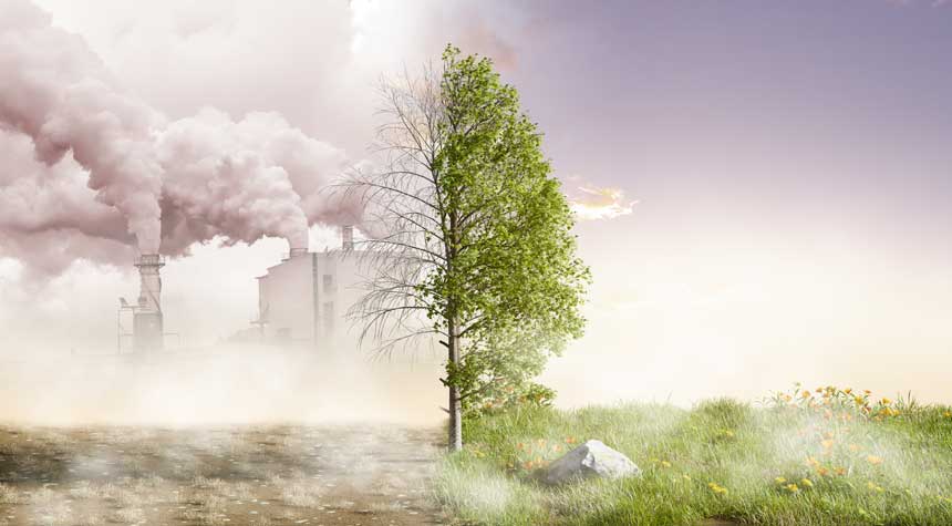 Does Genetics Or Environment Cause Diseases?